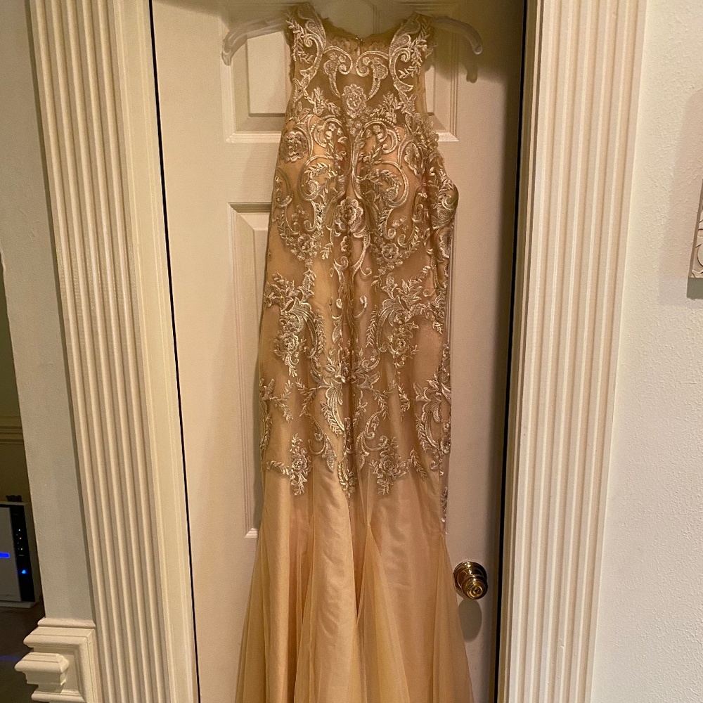 Gold lace and chiffon dress